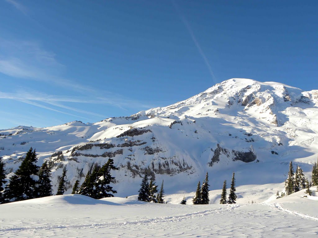 Mt. Rainier by Todd Stahlecker