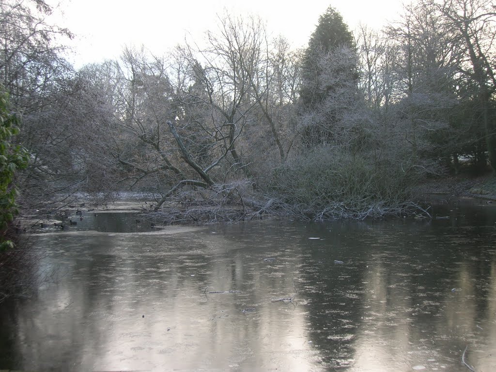 Icy Pond by lisa coates