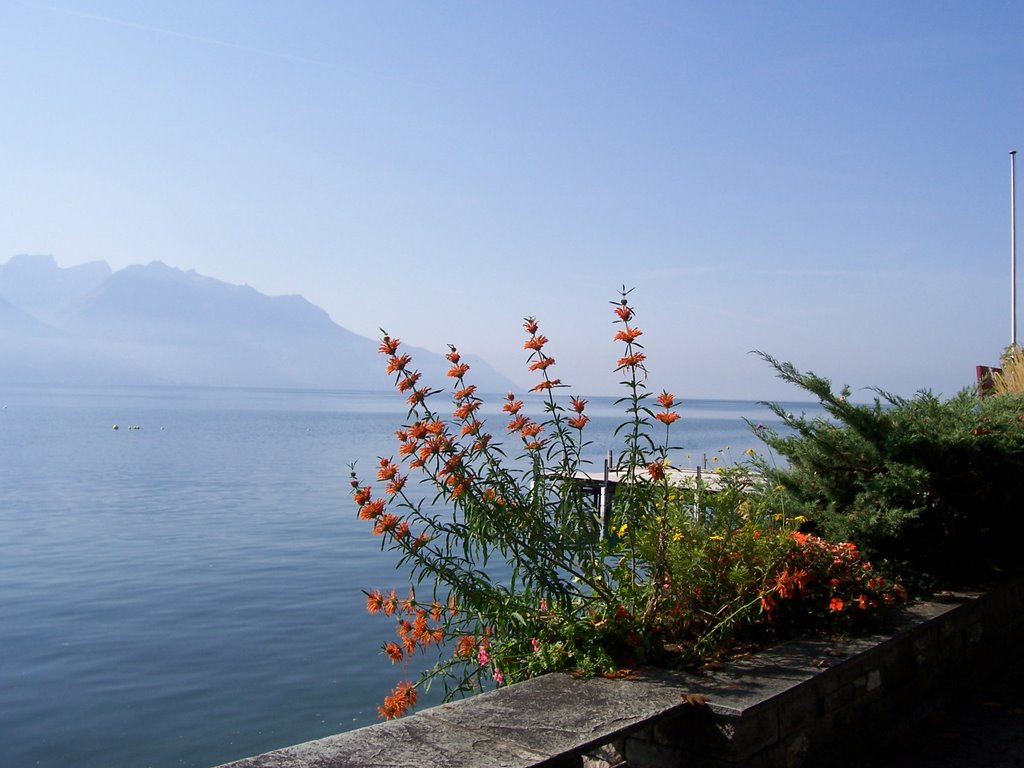 Lake Geneva by iilona