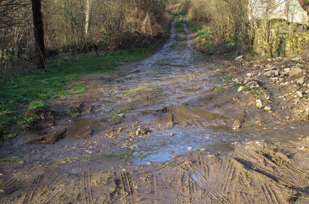 U Bačevo voda na sve strane by Sashko by SashkoT