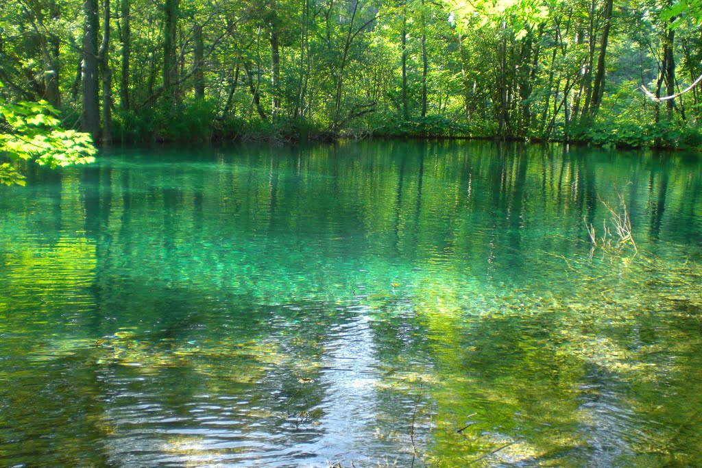 I colori di Plitvice by stecc0