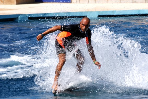 Raiding a dolphin by tittinger