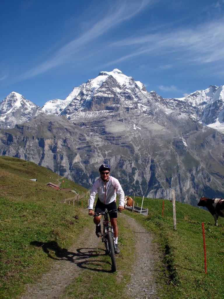 Cycling Swiss Alps by cyclist