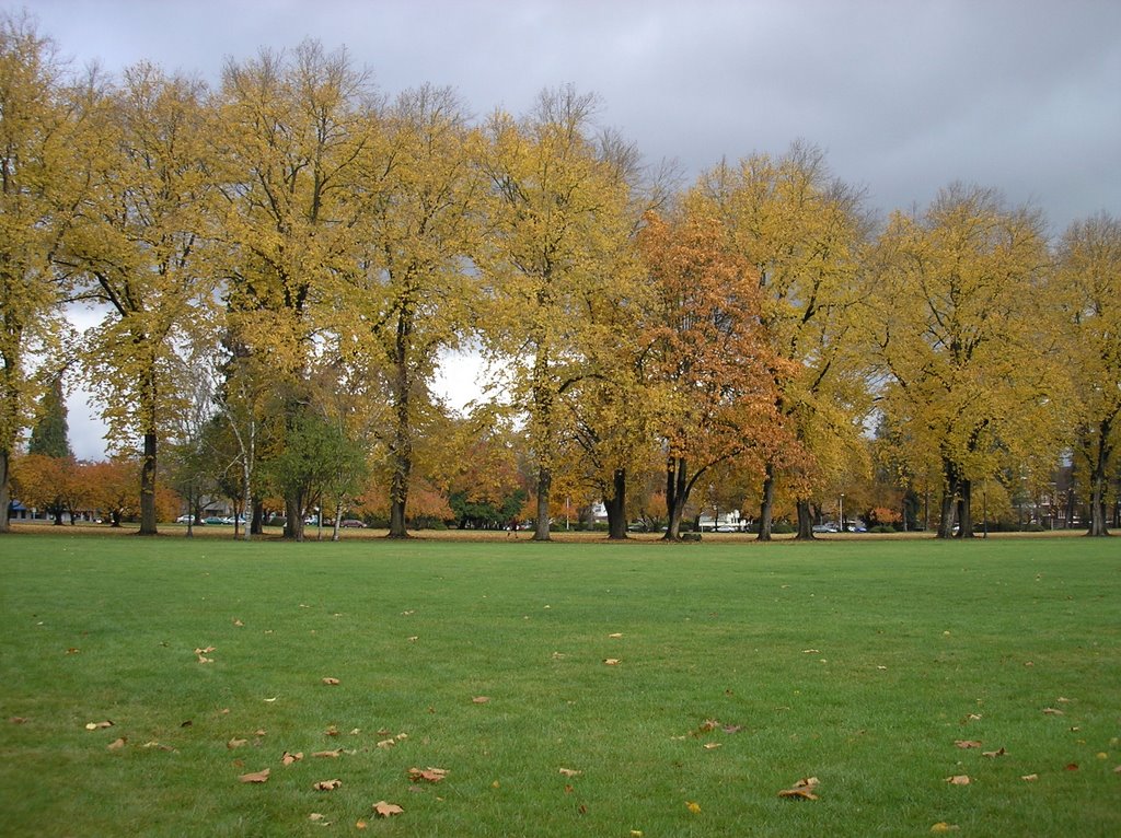 OSU Campus by EarthCitizen