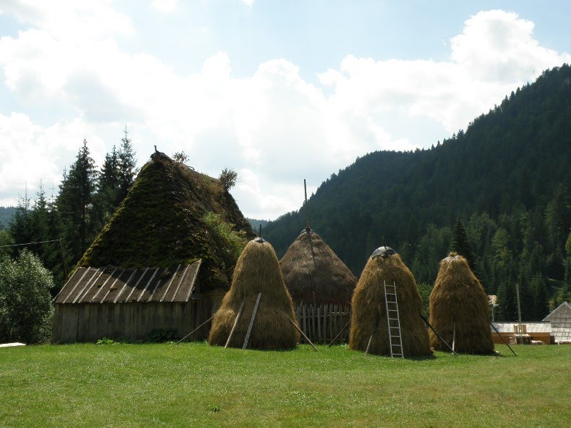 Gospodărie în Casa de Piatră by Sorin Cercea