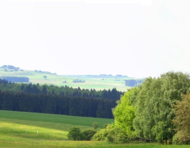 Panoramablick Waldcafe Maus by Gisela Maus