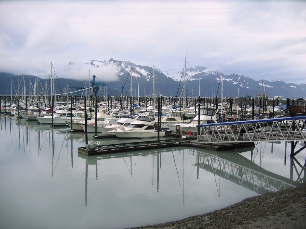 Seward Harbor by David Perkins