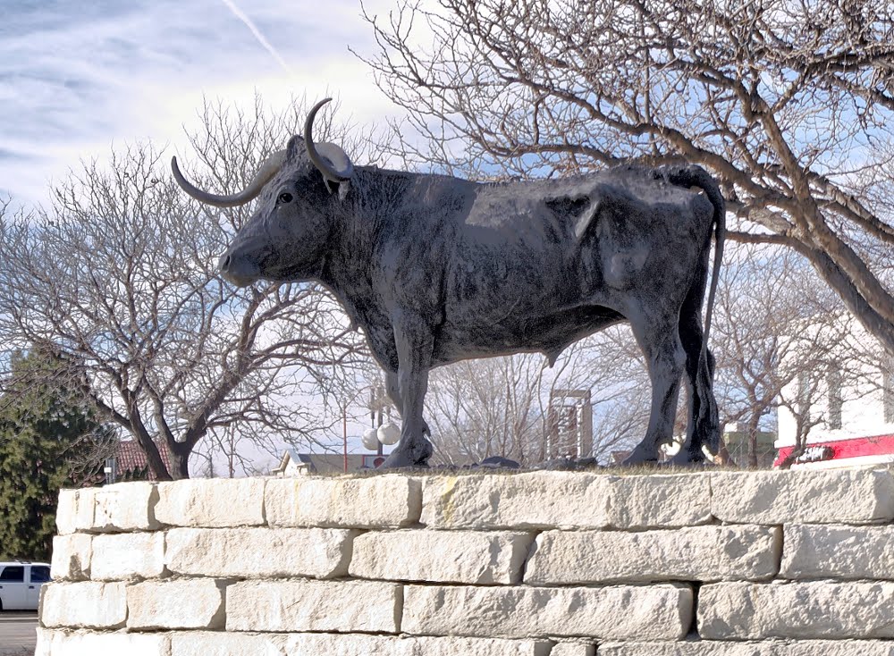 Longhorn Dodge City by Black Mesa Images