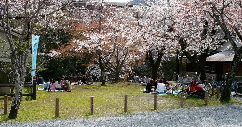 京都 嵐山公園 中之島 by Percy Tai  漆園童