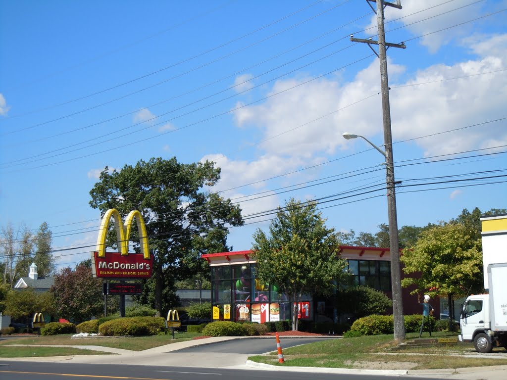 McDonald's @ Ann Arbor Rd. by plumgarden