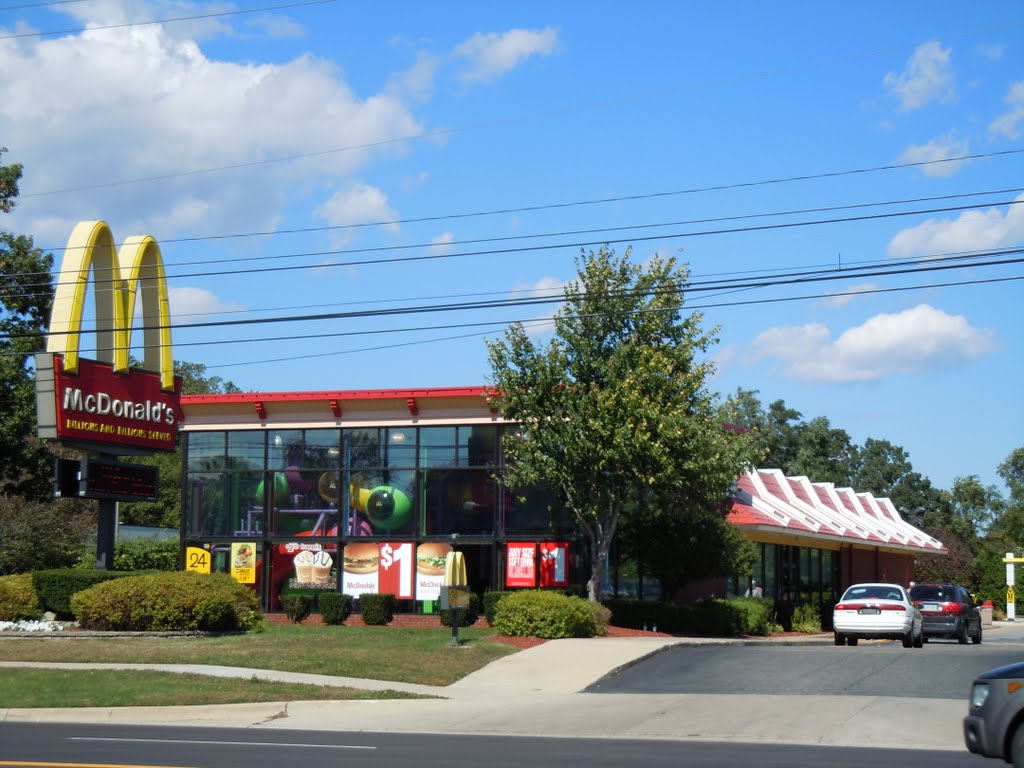 McDonald's @ Ann Arbor Rd. by plumgarden