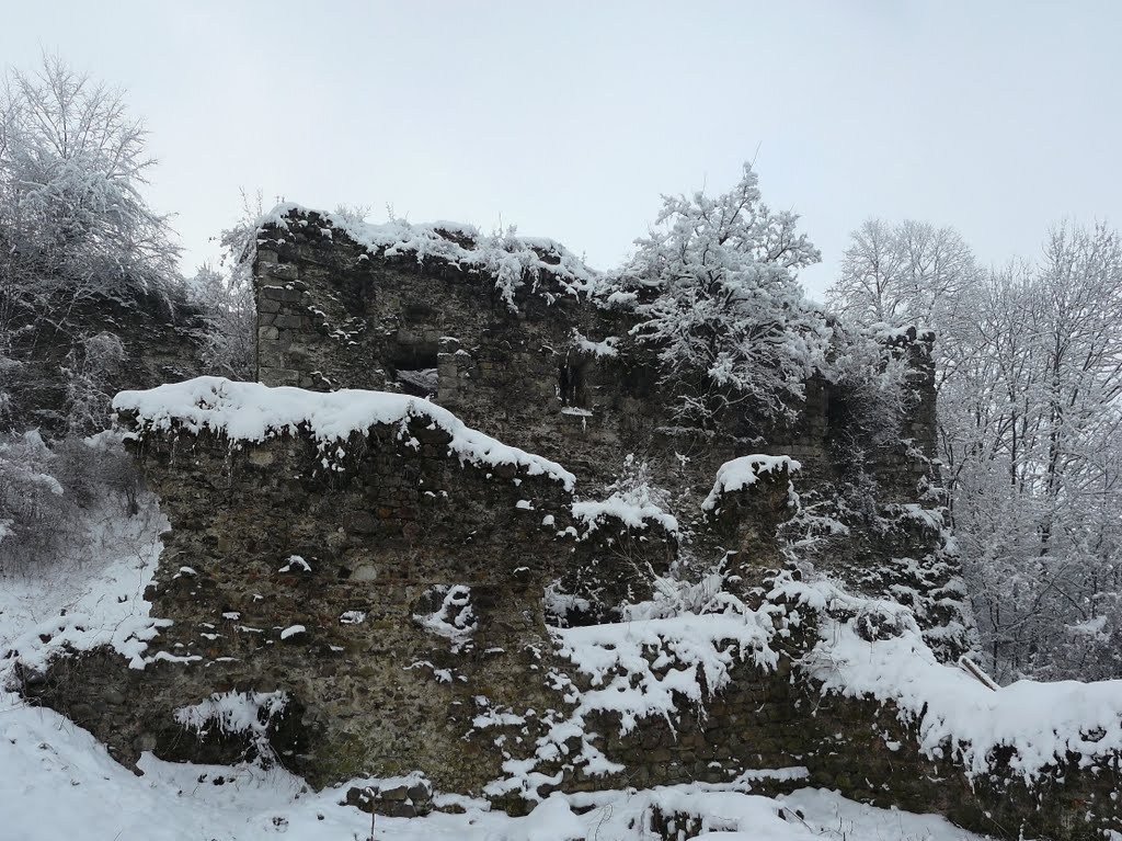 Khust, Zakarpats'ka oblast, Ukraine by Alexandr “sting” Ale…