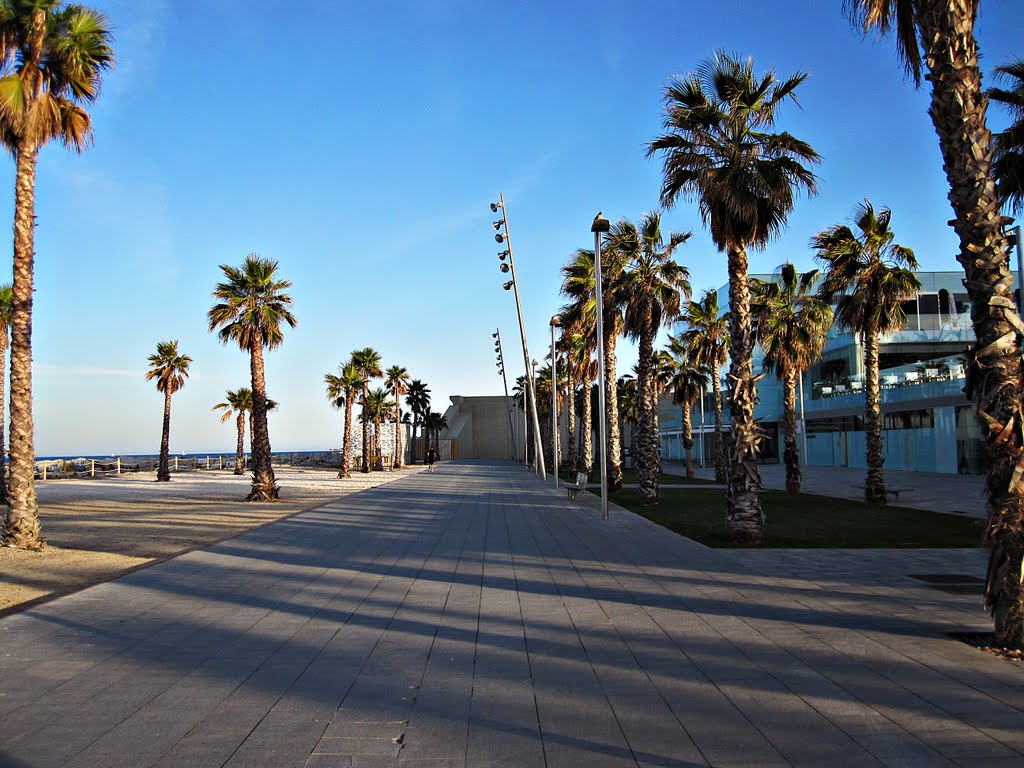 La Barceloneta, Barcelona, Spain by pdelaf