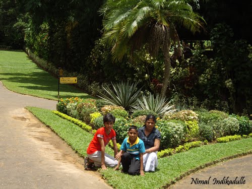 Peradeniya Botanical Garden by indikadulle