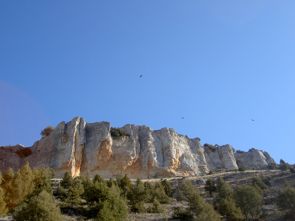 Cañon del rio Lobos, Ucero , Soria , ( Estepa 32 ) by Estepa32