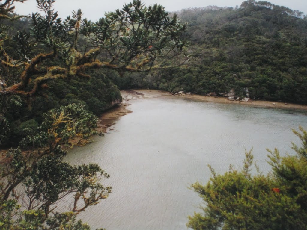 Ferry Landing 3591, New Zealand by kontra1