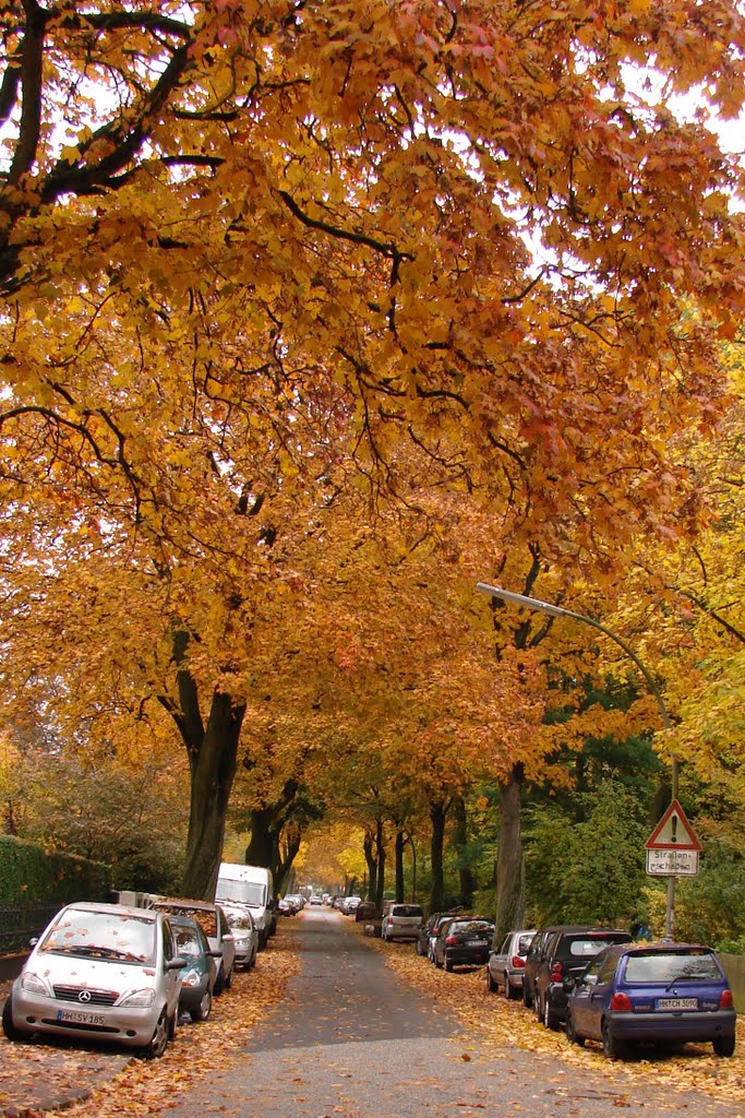 Brunsberg im Herbst by marohhoram