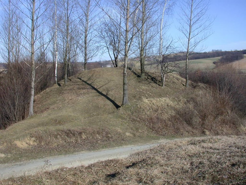 Gródek po zamku w Berdechowie (www.zamki.pl) by ZeroJeden