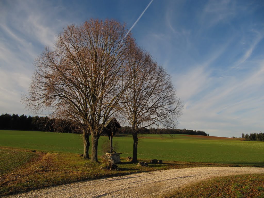 Titting, Germany by Robbystum.