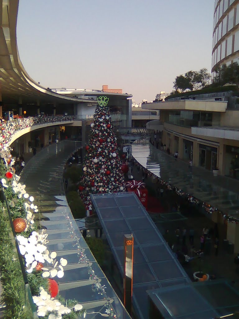 Plaza Antara Polanco en Navidad by elgrullo