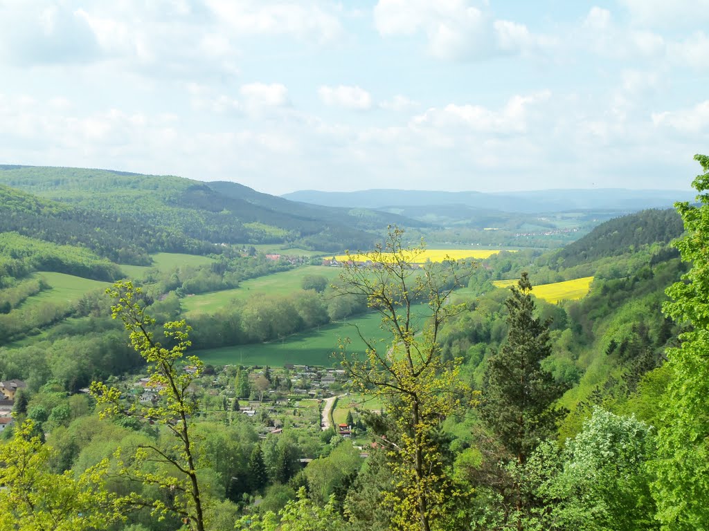 Blick auf Siegelbach (Thüringen) by 002ich