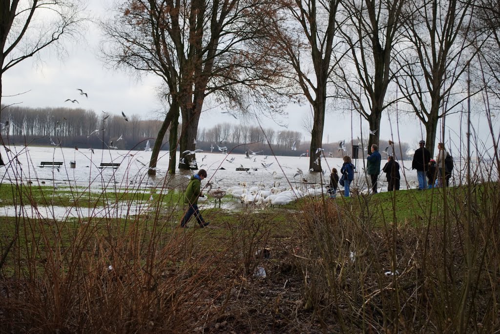 2011-01-09. Hochwasser. by GruzintsevAndrey