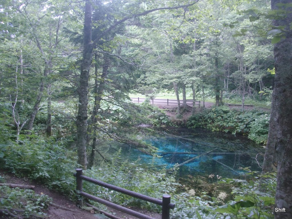 [北海道] 裏摩周の展望台から少し、神の子池です。摩周湖の伏流水でできたものらしいです。非常に青く、かつ透き通った池になっています。中に沈んだ倒木も腐らないことも水質のよさを表すのだとか。駐車場にはたくさんのチョウチョ。どちらも神秘的なものを感じます。 by Shift