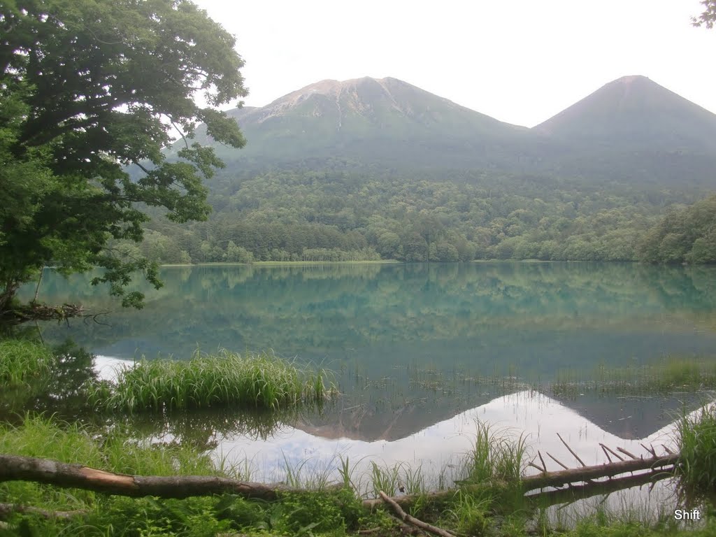 [北海道] 北海道三大秘湖の一つ、オンネトー湖。アイヌ語で「年老いた沼」あるいは「大きな沼」の意味らしいですが。時間帯によって色が変わるので五色沼とも呼ばれるとか。透明度が低く、絵の具でにごらせたみたい。不気味な緑色をしていました。 by Shift