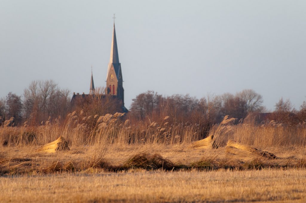 De rietlanden langs het Schippersgat by Ruud van Dijk