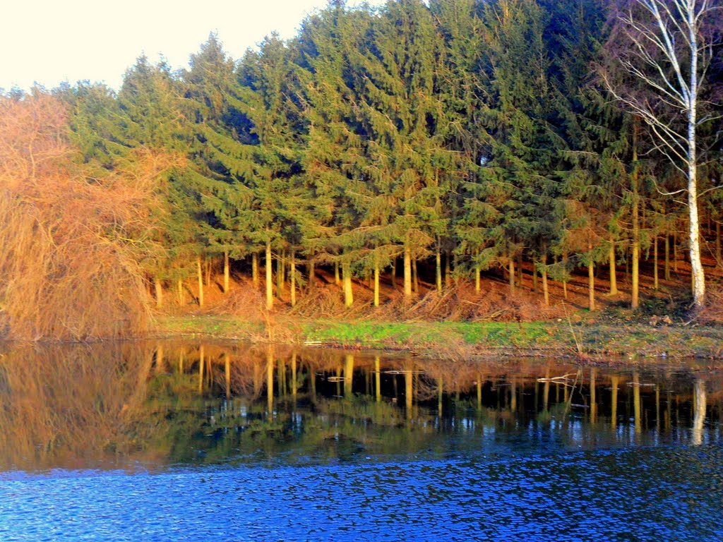 Gébárti Lake - Gébárti tó by Mata Hary