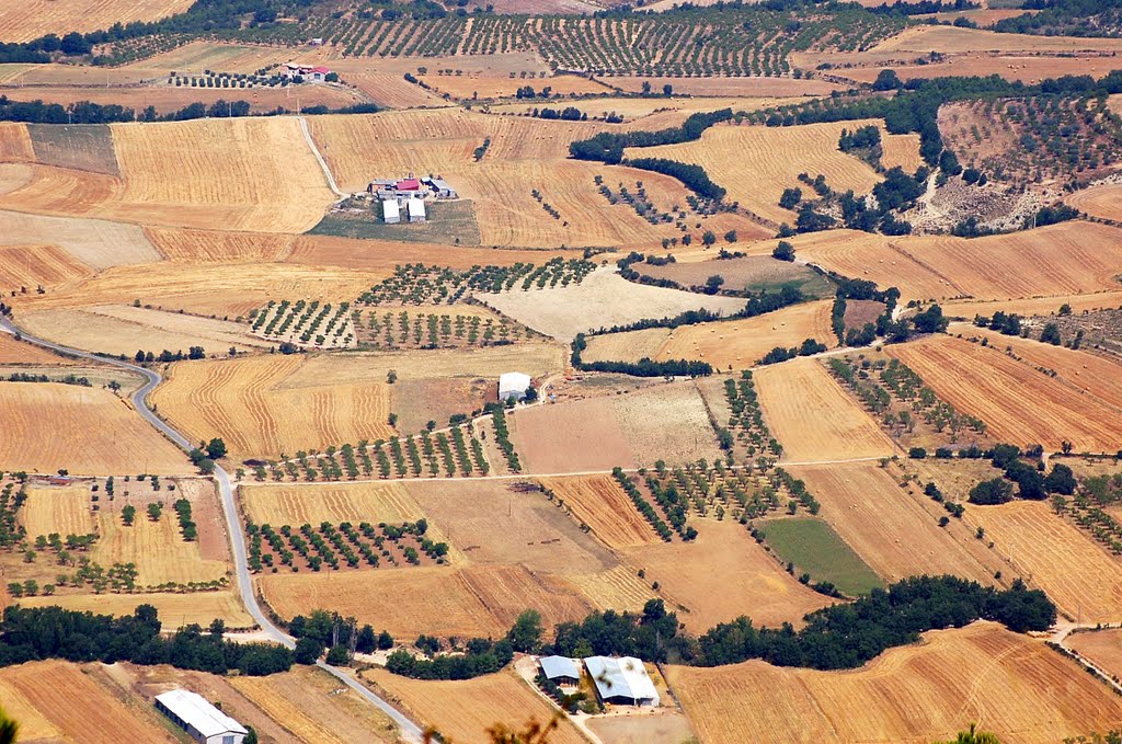 Terres de conreu, vistes des del cim de Sant Corneli by Marcel Puig Puig