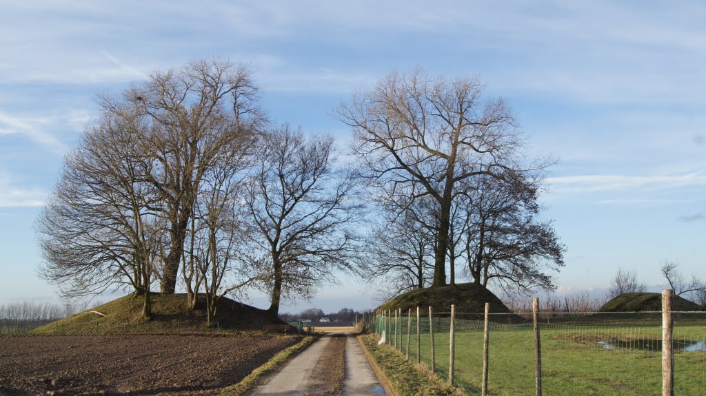 3 tumuli ("3 Tommen"), zicht vanuit ZO by Geert Renckens, Alken