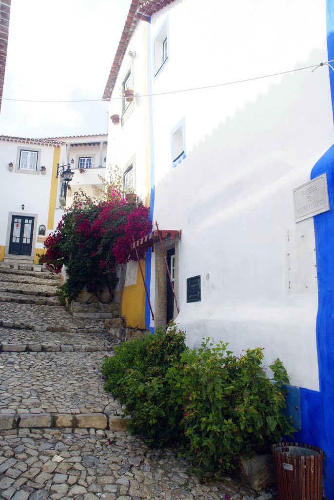 Street with bougenvilla by Peter Lendvai