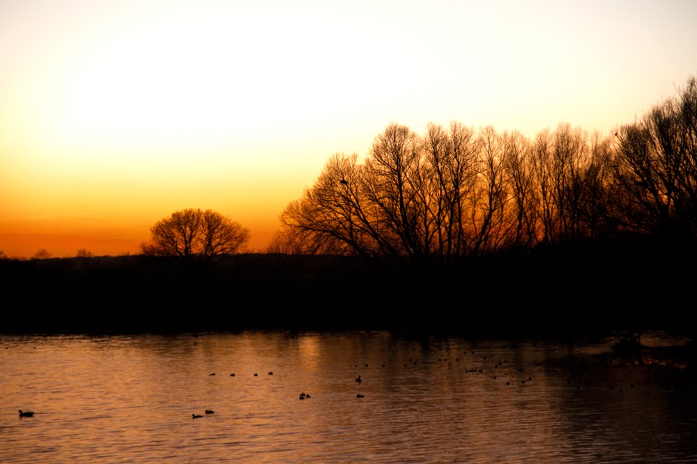 A Abberton sunset by Still-Life