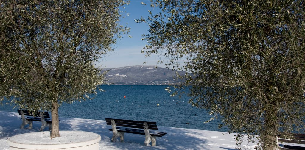 Neige sur le Lac du Bourget by Aurélien Antoine