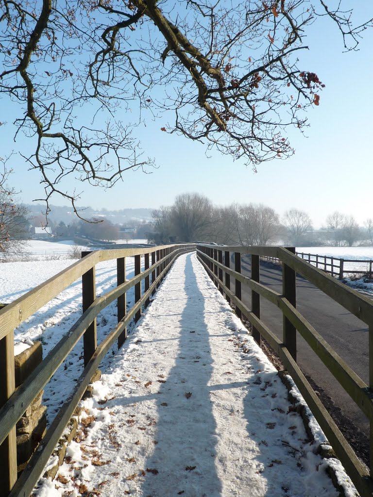 Raised walkway over the river Avon. by Chris Blackler