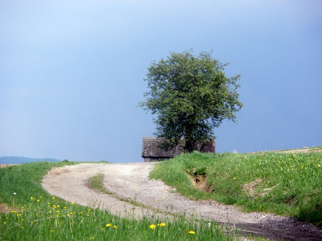 Pinzberg - Köchlberg by Karin Seubert