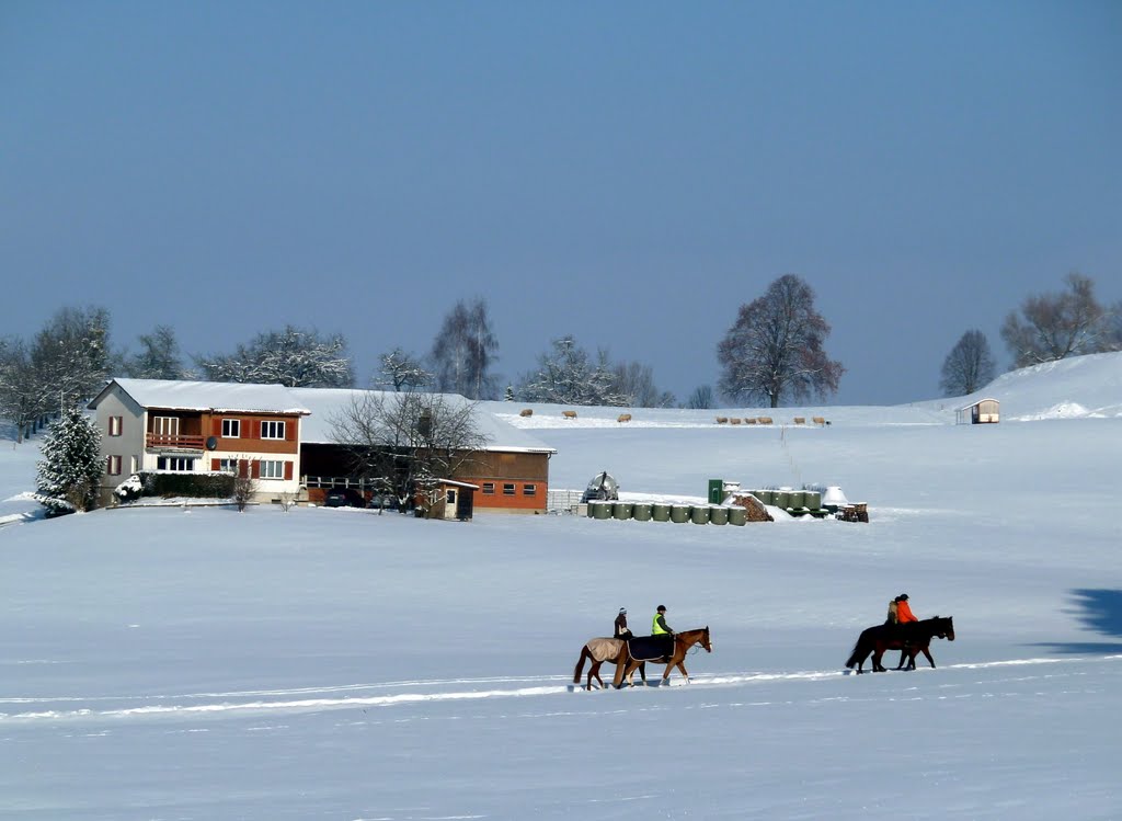 Richtung Andwil by Barnabas Berkeczy