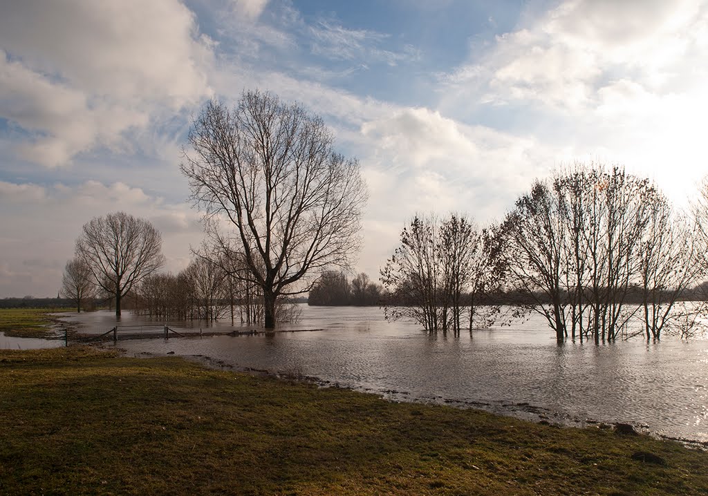 River Maas breaks its banks by panoramawolle