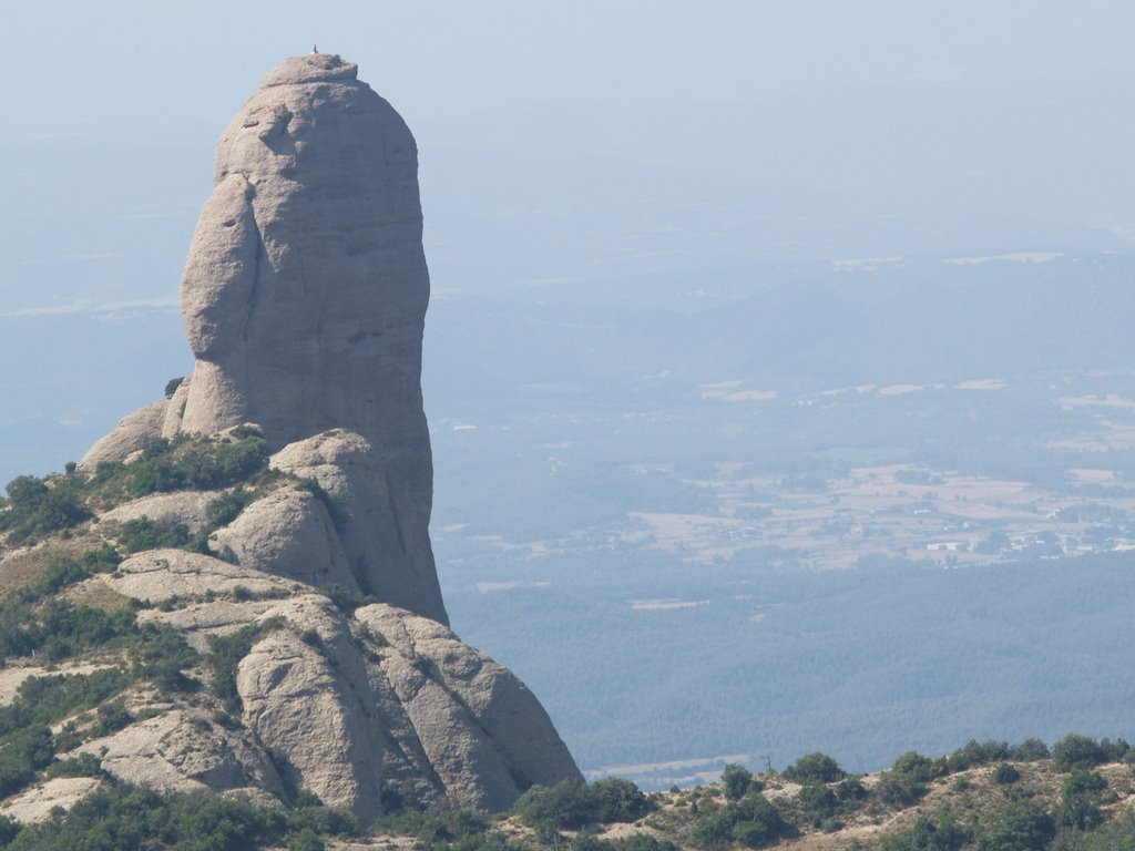 El Cavall Bernat des de la Magdalena inferior by joaquim_pastor