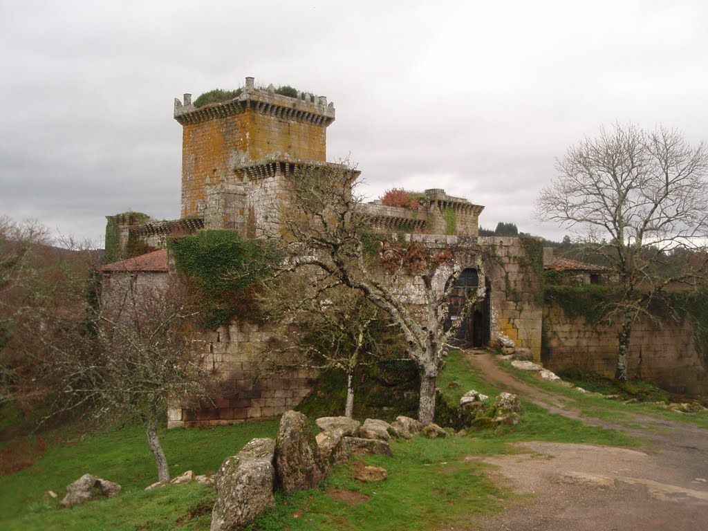 Castelo do Pambre by Eladio Cortizo