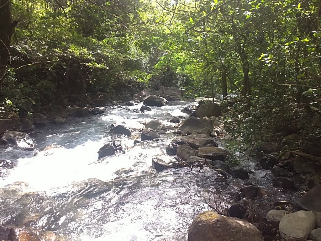 Río Colorado, Rincon de la Vieja 01/11 by Jose Sánchez