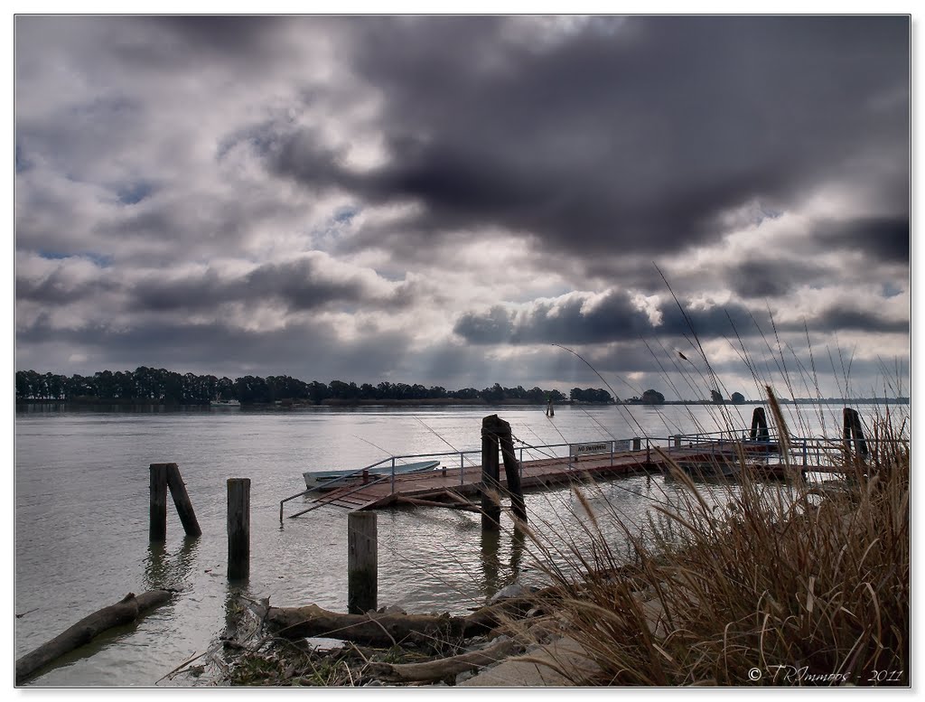 Sacramento River - Rio Vista, CA by Tony Immoos