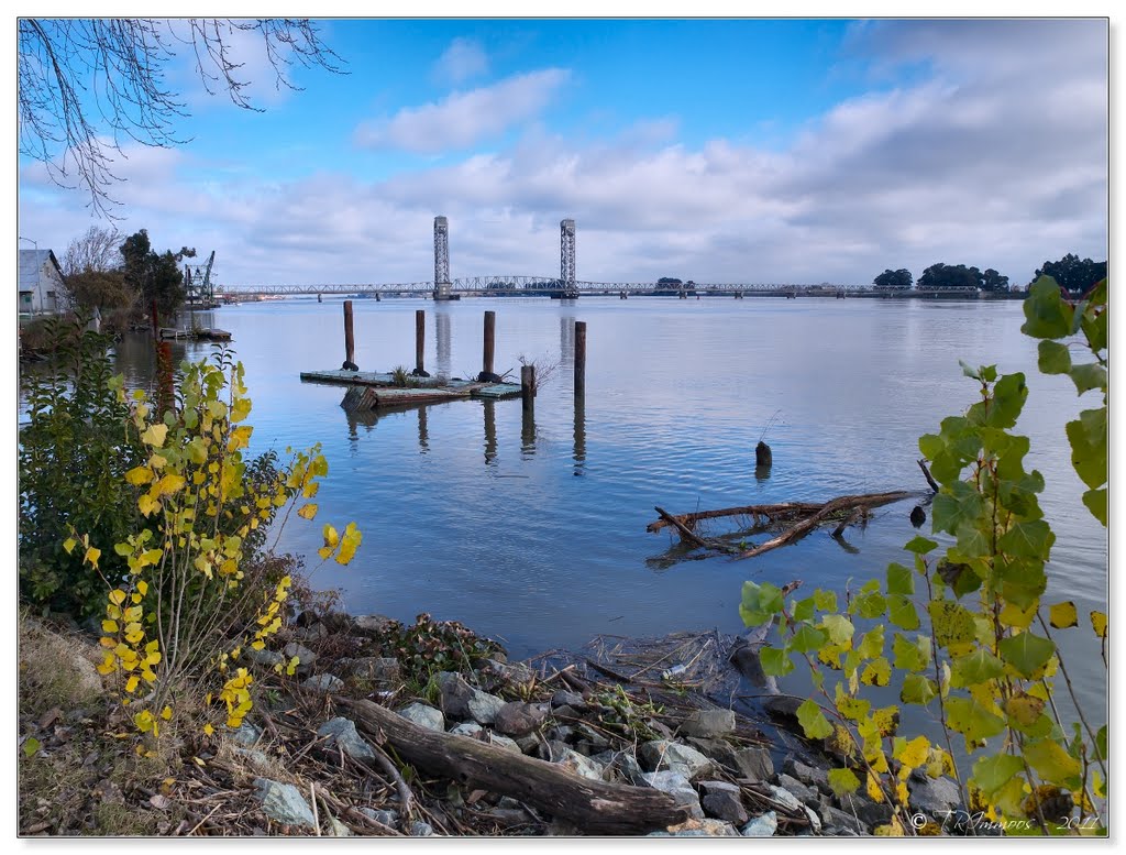 Sacramento River - Rio Vista, CA by Tony Immoos