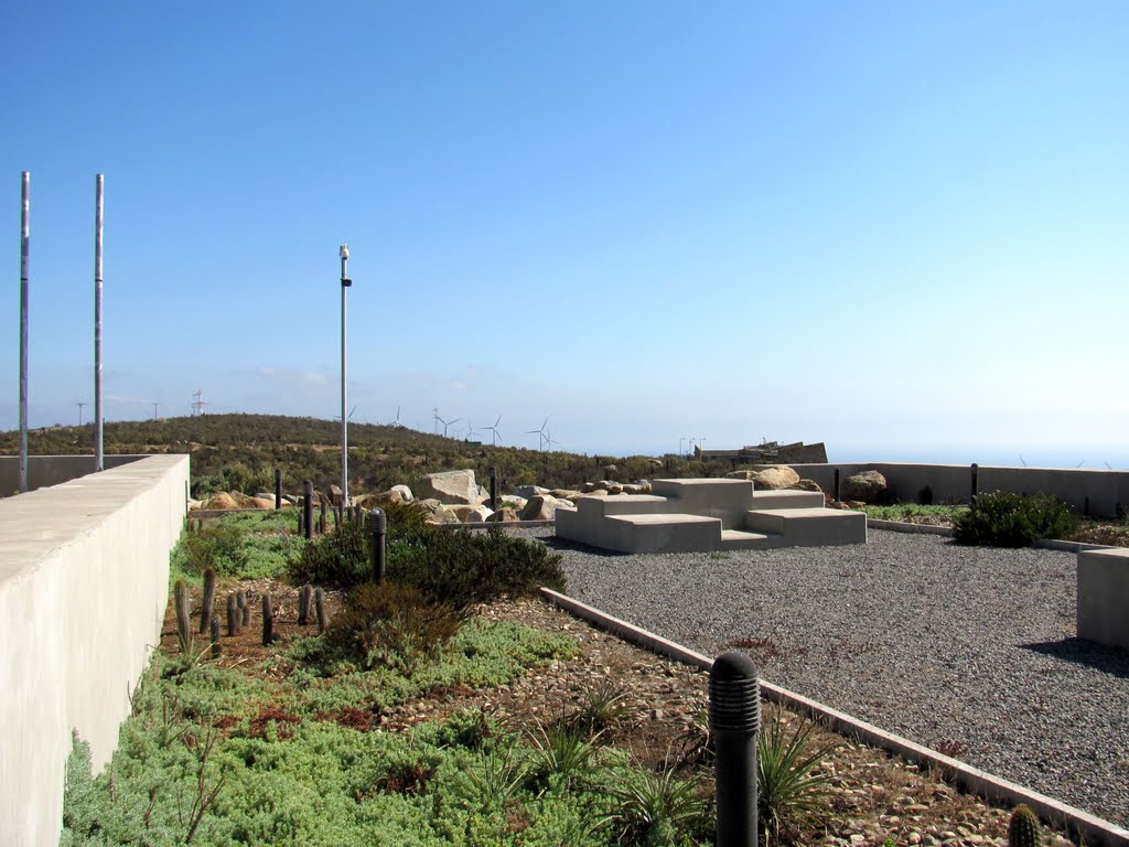 Juegos en obra y flora nativa en el mirados de Canela II by aleMamá