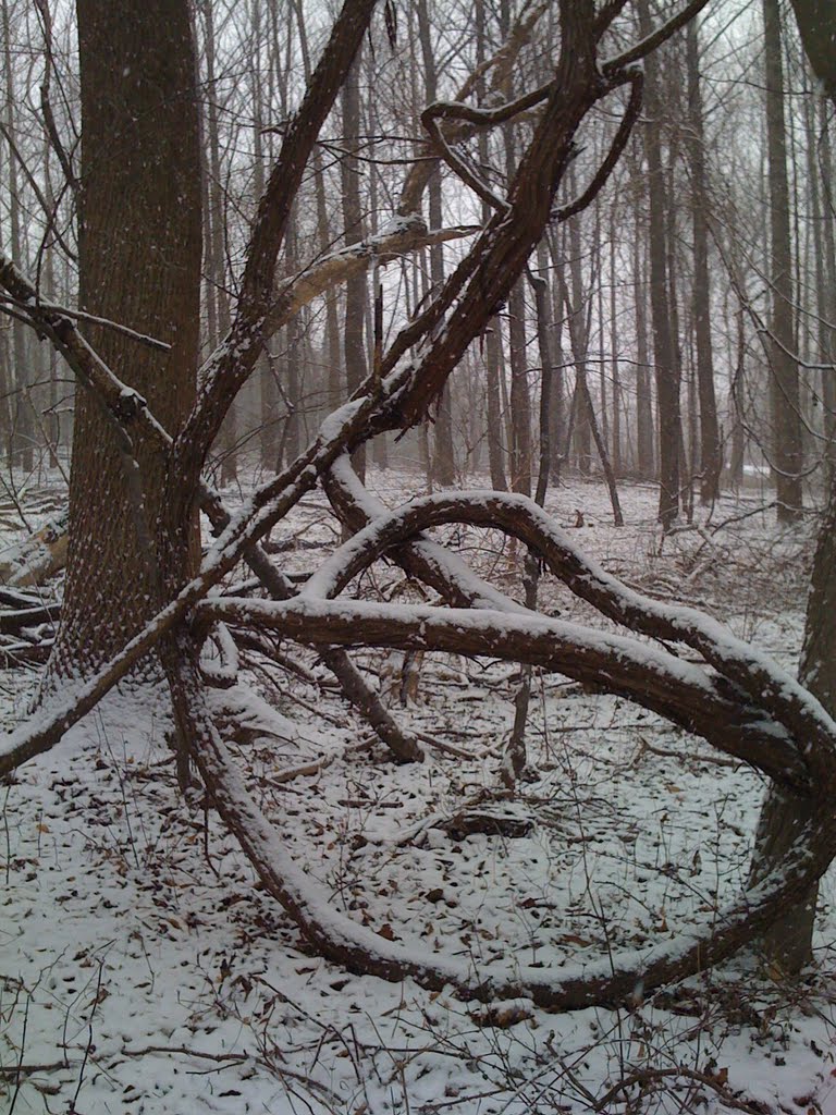 Beside former Black Hill Trail by scenographer