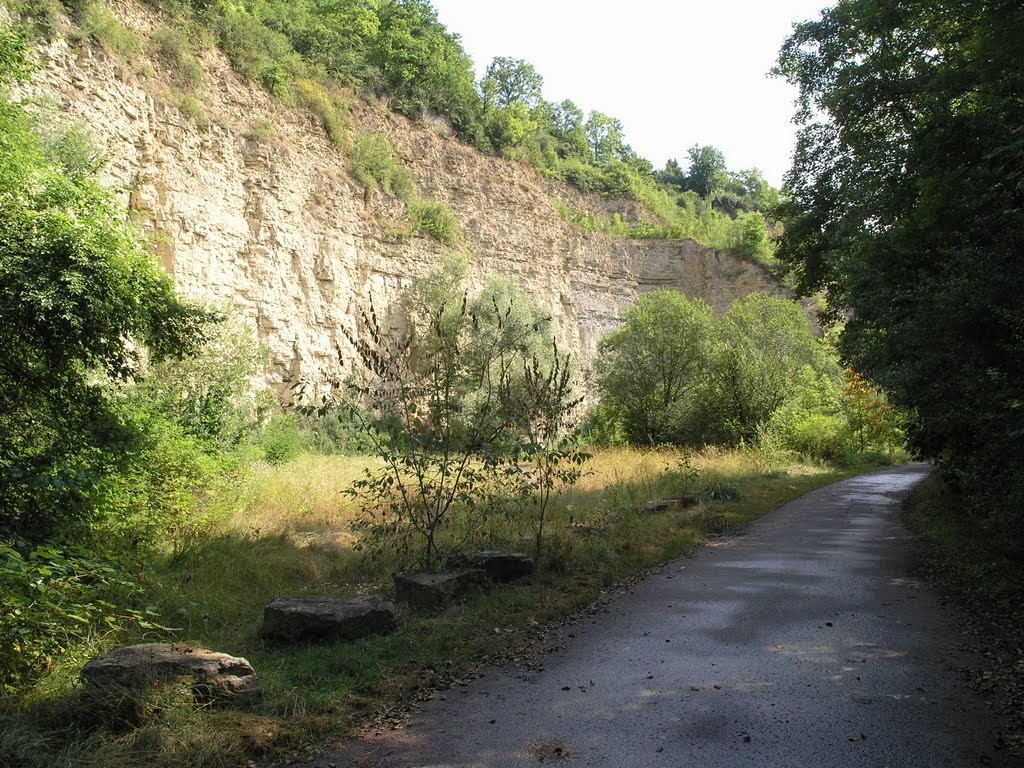 FOTOGALERIE ROLF ZIMS: 2010 Deutschland, Baden-Württemberg, im Remstal bei Neckarrems by Fotogalerie-Rolf-Zims