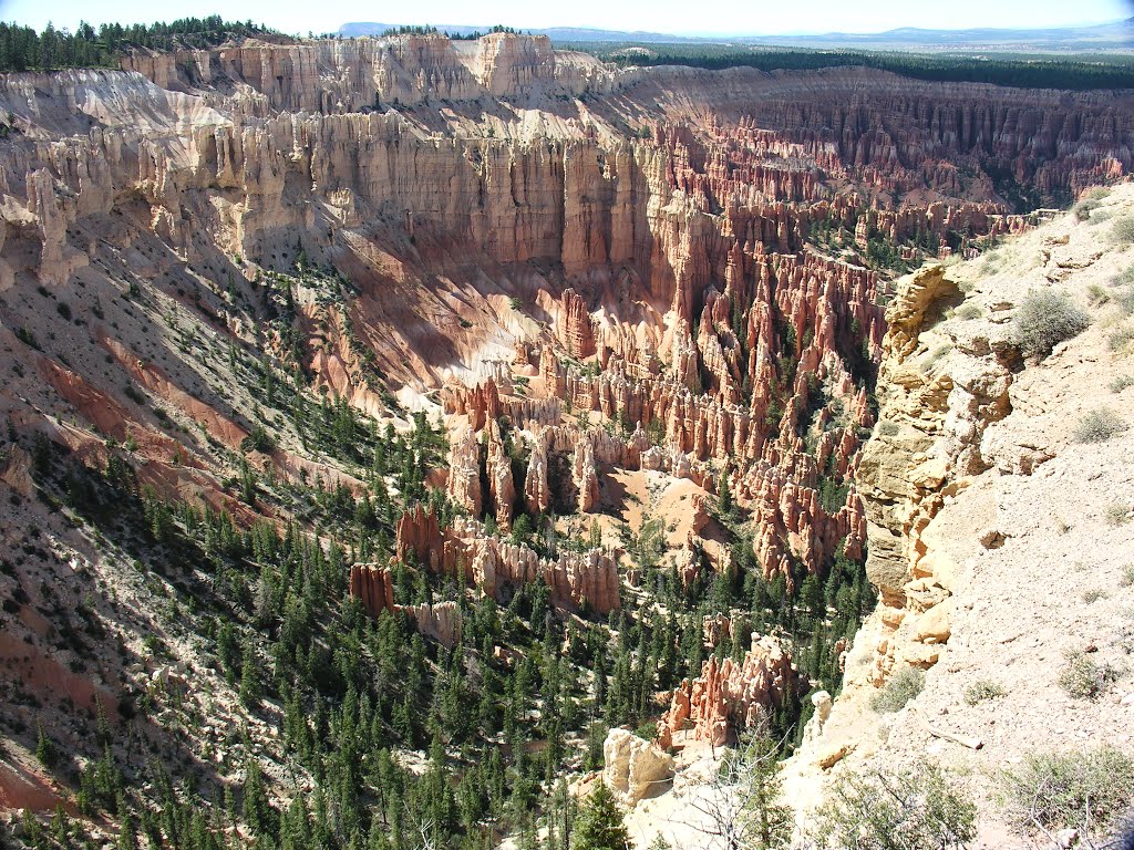 Bryce Canyon by Monty Dressen