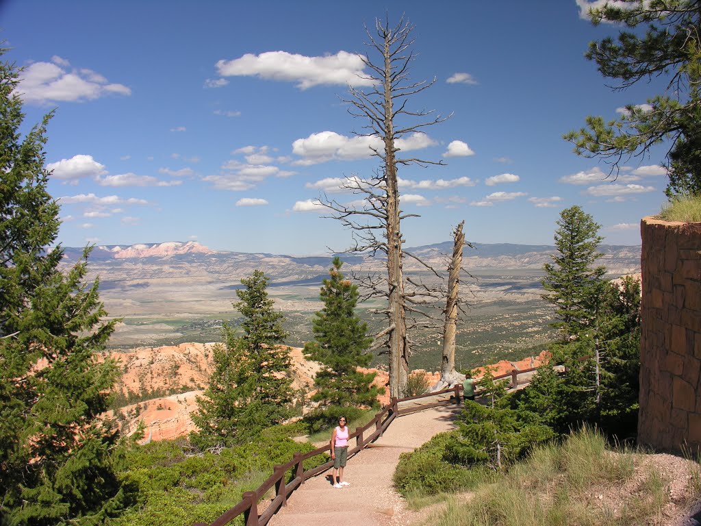 Bryce Canyon by Monty Dressen