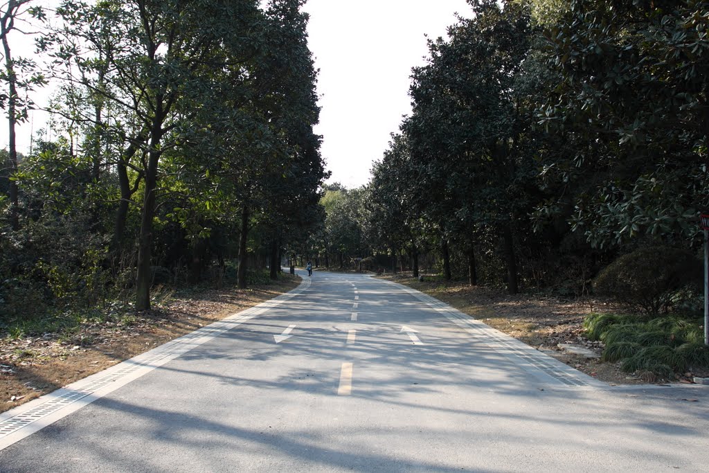 植物园跑步线路 Running at Botanical Garden 冬季 Winter by wecn.org